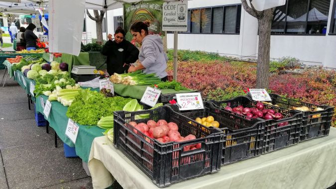 Organic veg at Fremont farmers market