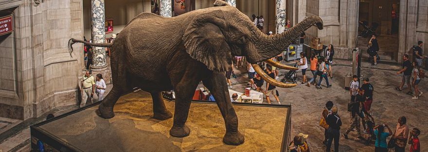 COVID zero waste tactics