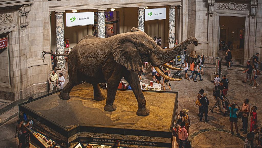 COVID zero waste tactics